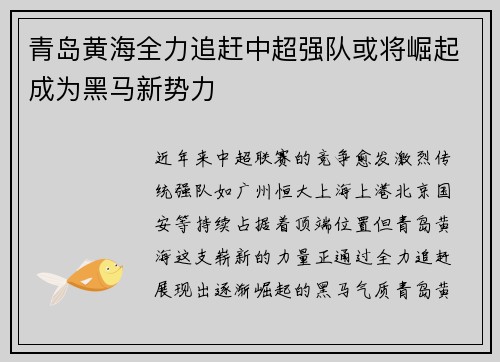 青岛黄海全力追赶中超强队或将崛起成为黑马新势力