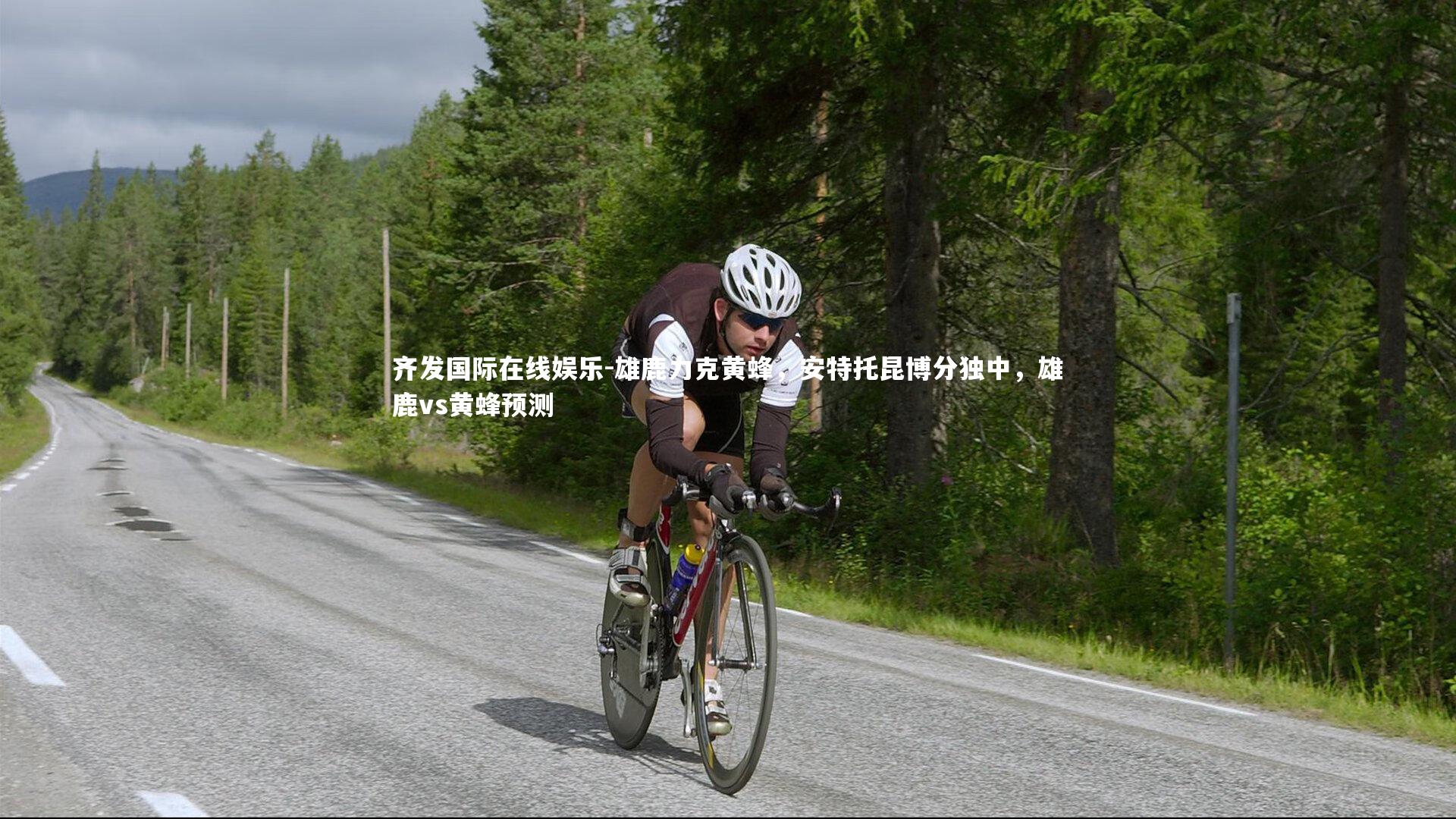 雄鹿力克黄蜂，安特托昆博分独中，雄鹿vs黄蜂预测